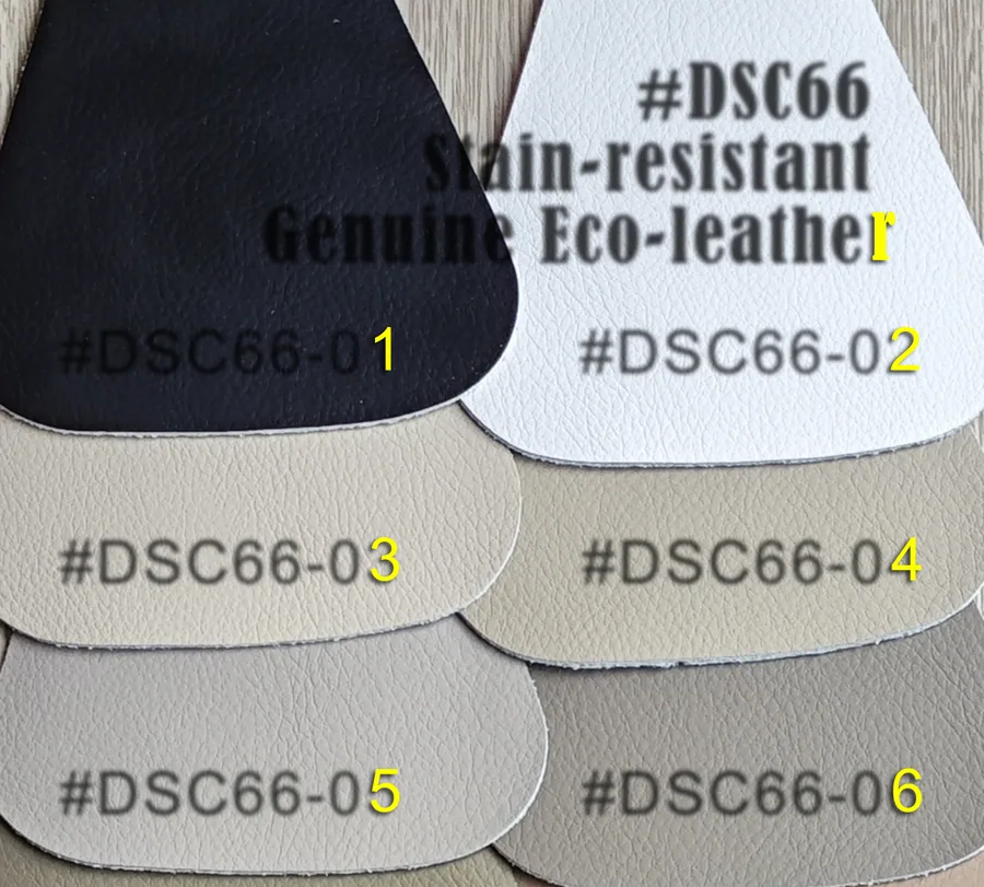 DSC66 Stain-resistant Genuine Eco-leather